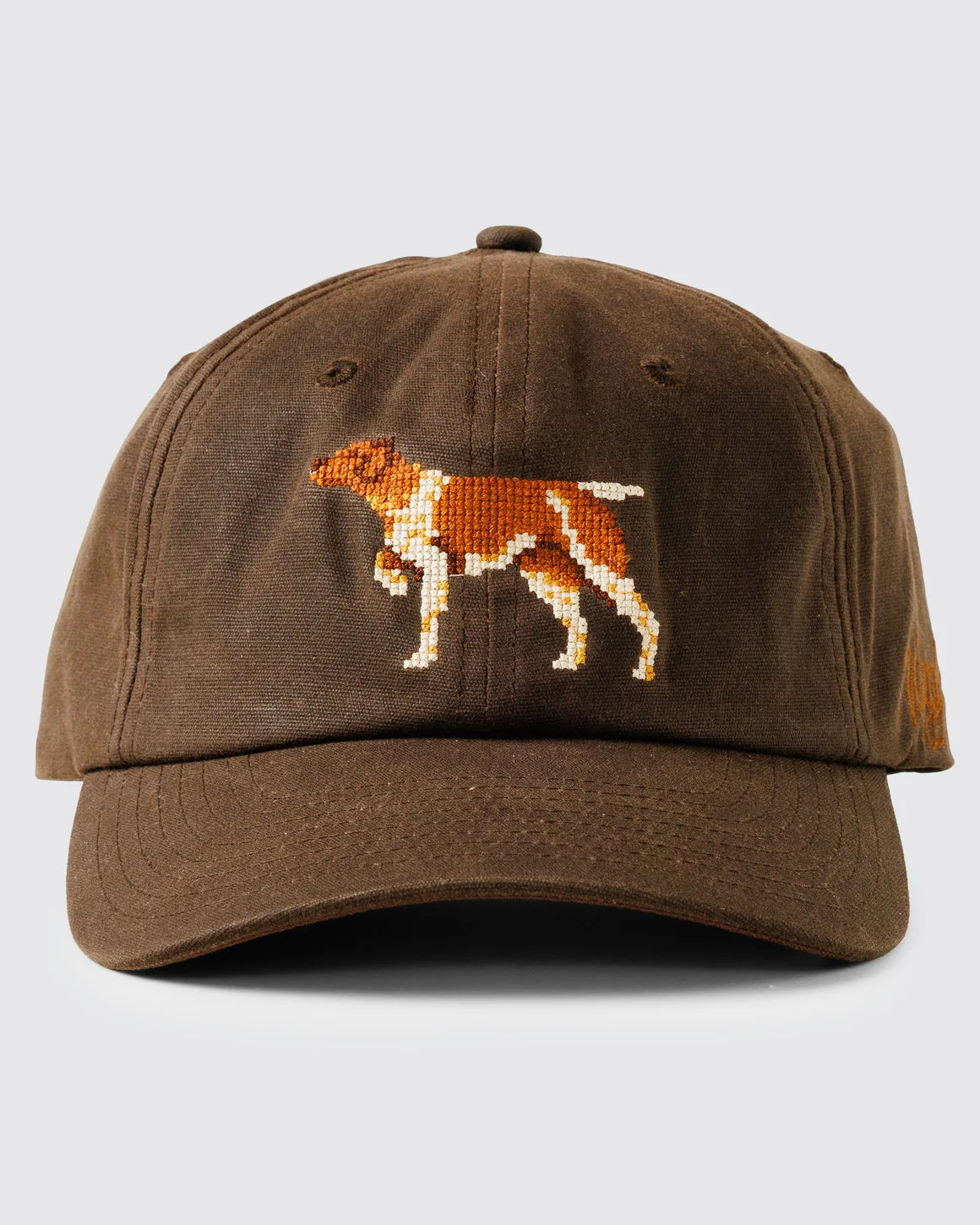 Bird Dog