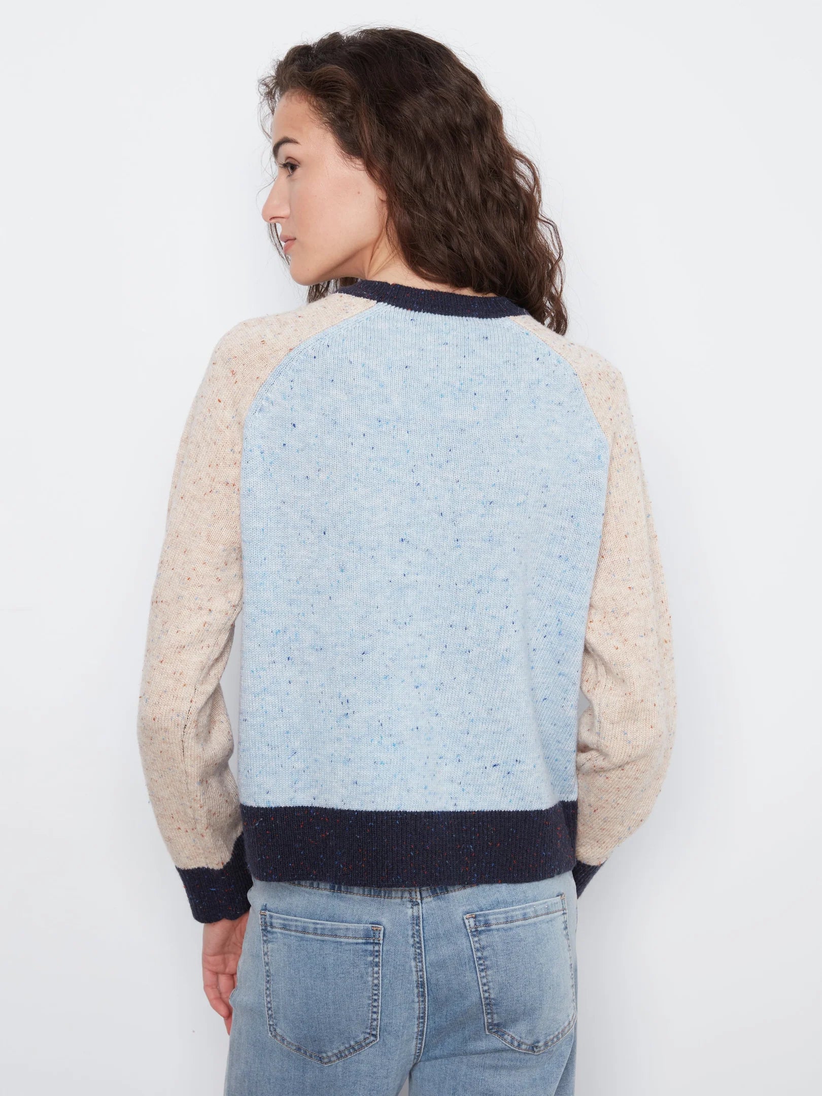 Raglan LS Crew Neck Color Block Sweater
