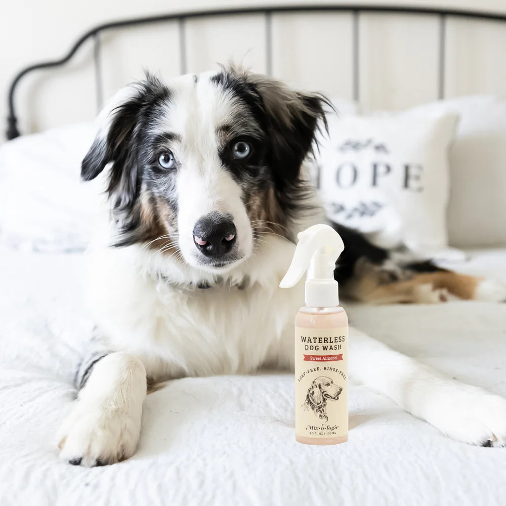 Rinse Free Dog Wash