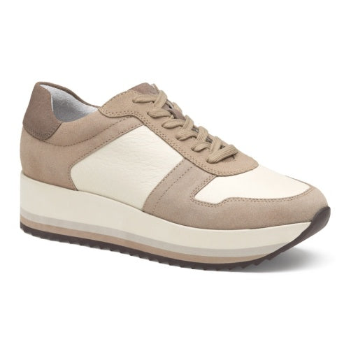 Gracie Colorblock Lace-Up